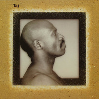Taj Mahal Taj 1986