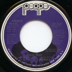 Sly, Slick And Wicked Sho' Nuff People Purple
