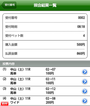 20141206_中山11RステイヤーズS