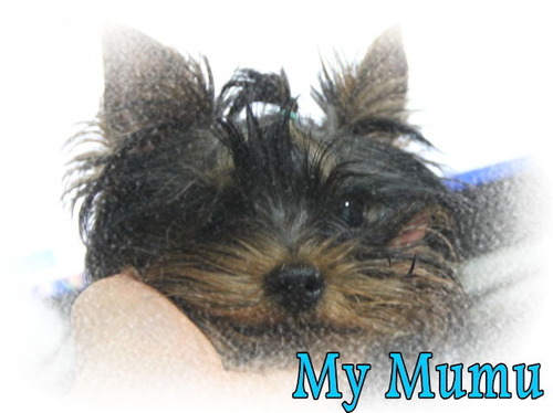mumu