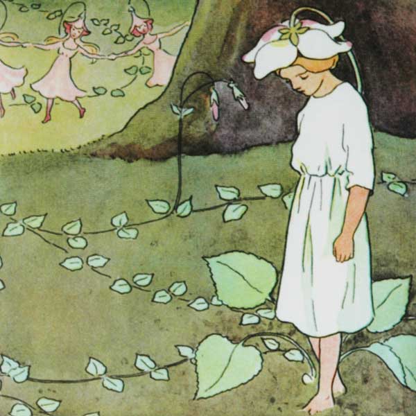 エルサベスコフ・シリーズ・リーサの庭の花まつり : さなぎの日記