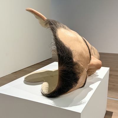 FullSizeRender