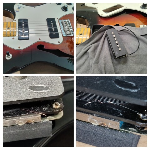 IMG20220912173316-COLLAGE