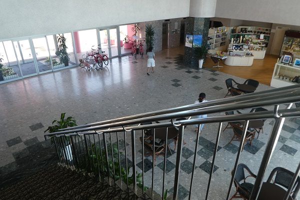 155 種子島いわさき