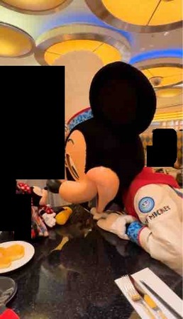 31 シェフミッキー