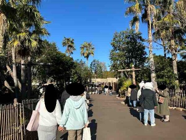 17 ディズニーシー
