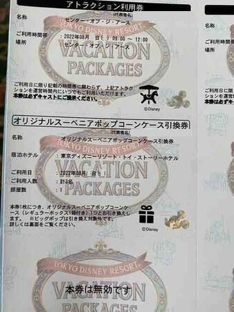 86　バケパアトラクション利用券