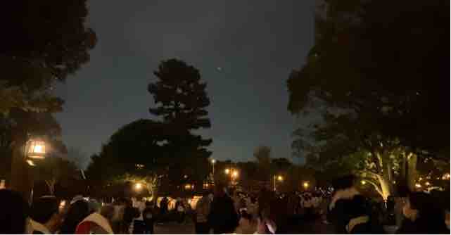 スターブライト クリスマス 花火 が近いのと夜の蒸気船 In 東京ディズニーランド ひとりディズニー 大人の時間