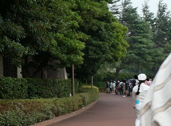 186 ミラコアーリー