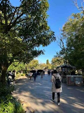 14 ディズニーシー