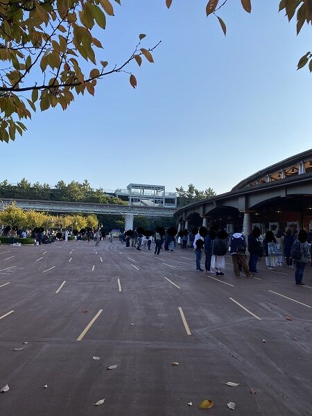 ディズニーシー アーリーエントリーしてシステム不具合だった日 ひとりディズニー 大人の時間