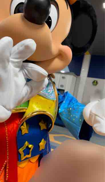 ディズニー バケーションパッケージ ぬいぐるみストラップ