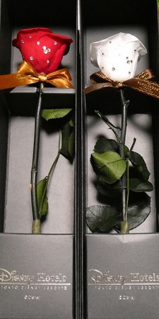 13　ミラコスタ花