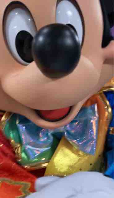 40周年のミッキーとミニーに会えるバケーションパッケージ（台紙