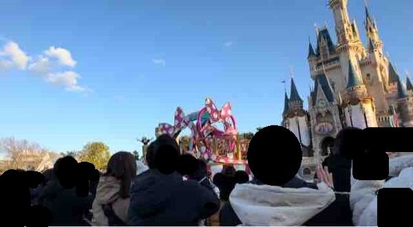 15 パルパル