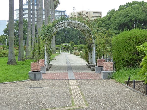 20 バラ園