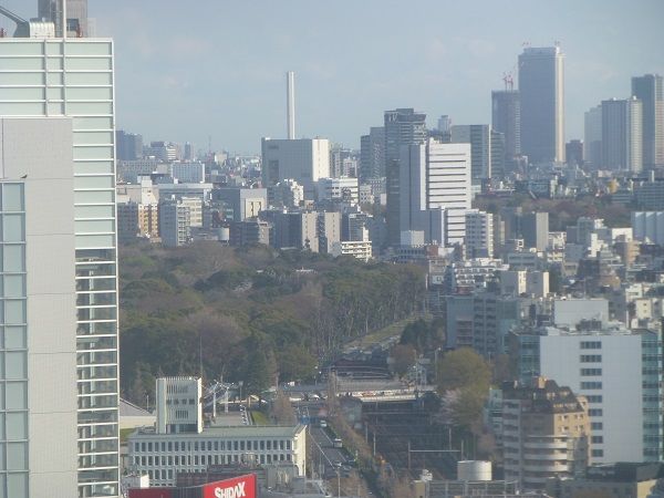 94 神宮の盛り