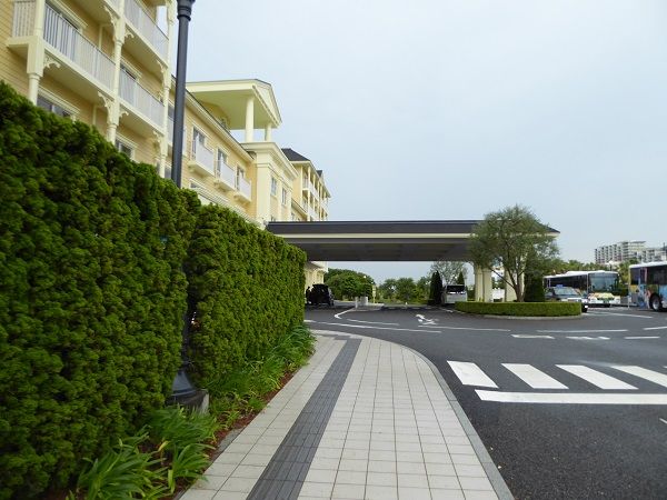 75 セレホ