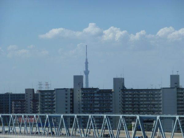 14 スカイツリー