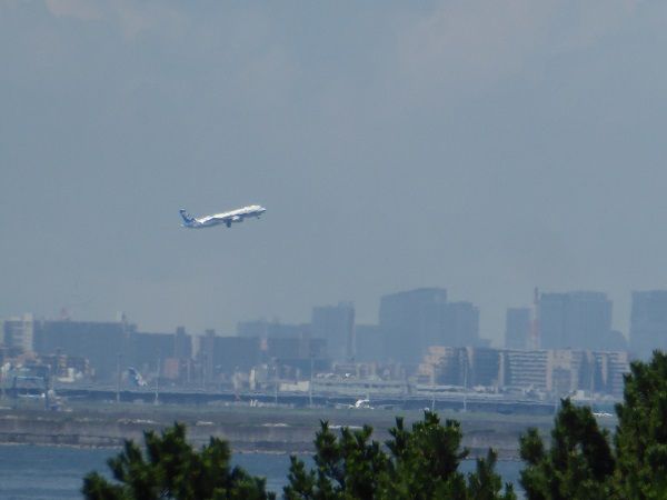 333 テラスから羽田