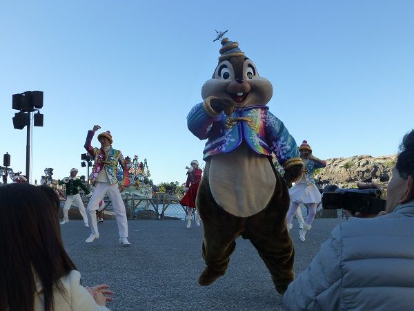 29 チップ