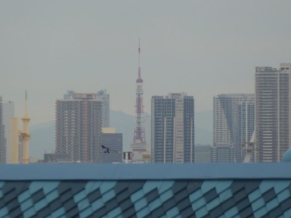 302 クリスマスデコ