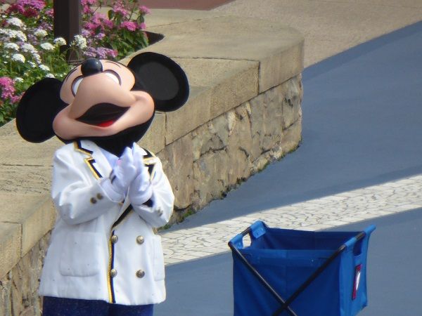 84 シーエント