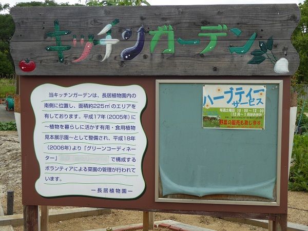 22 畑