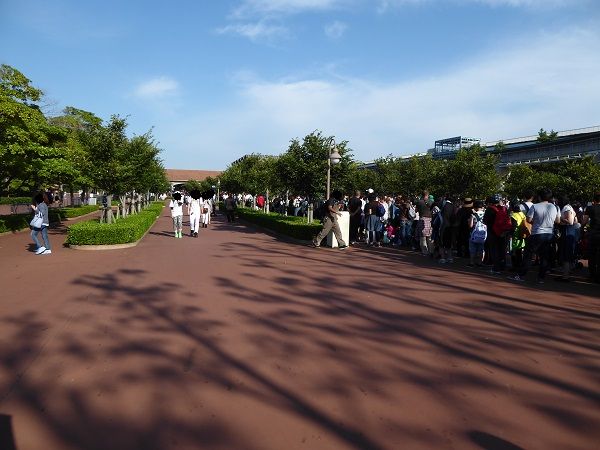 86 アーリー