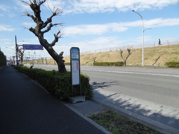 319 変なホテル