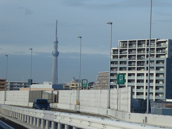 253 タクシー
