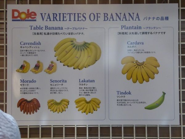 40 キッザニア