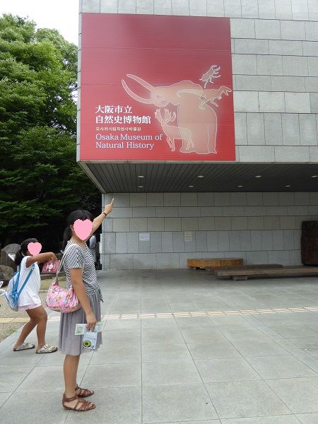 11 博物館
