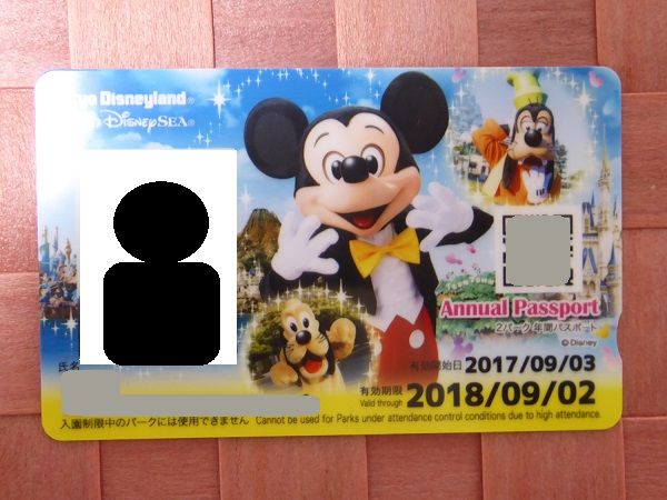 131 年パス