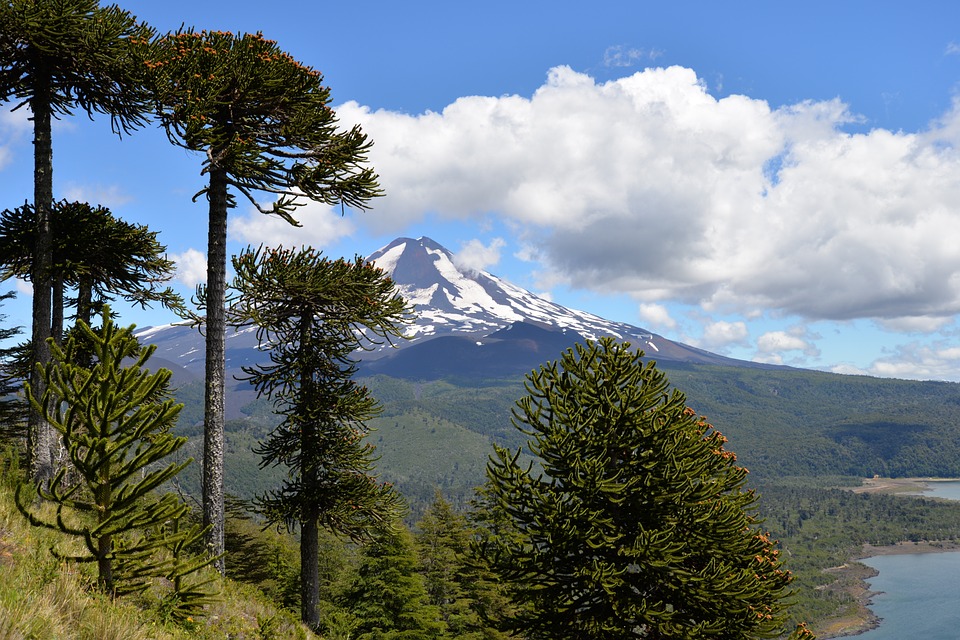 Clouds-Volcano-Trees-Conguillio-National-Park-Sky-710571