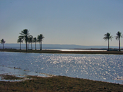 The_Euphrates_River-Iraqwikipedia