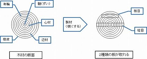 木材の性質 リビングでdiy