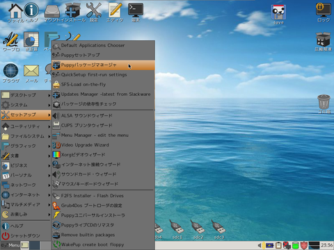 Chrome(1)