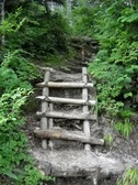 登山道には