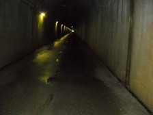 最期は900mも