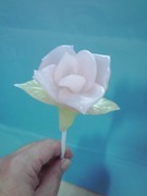 バラ