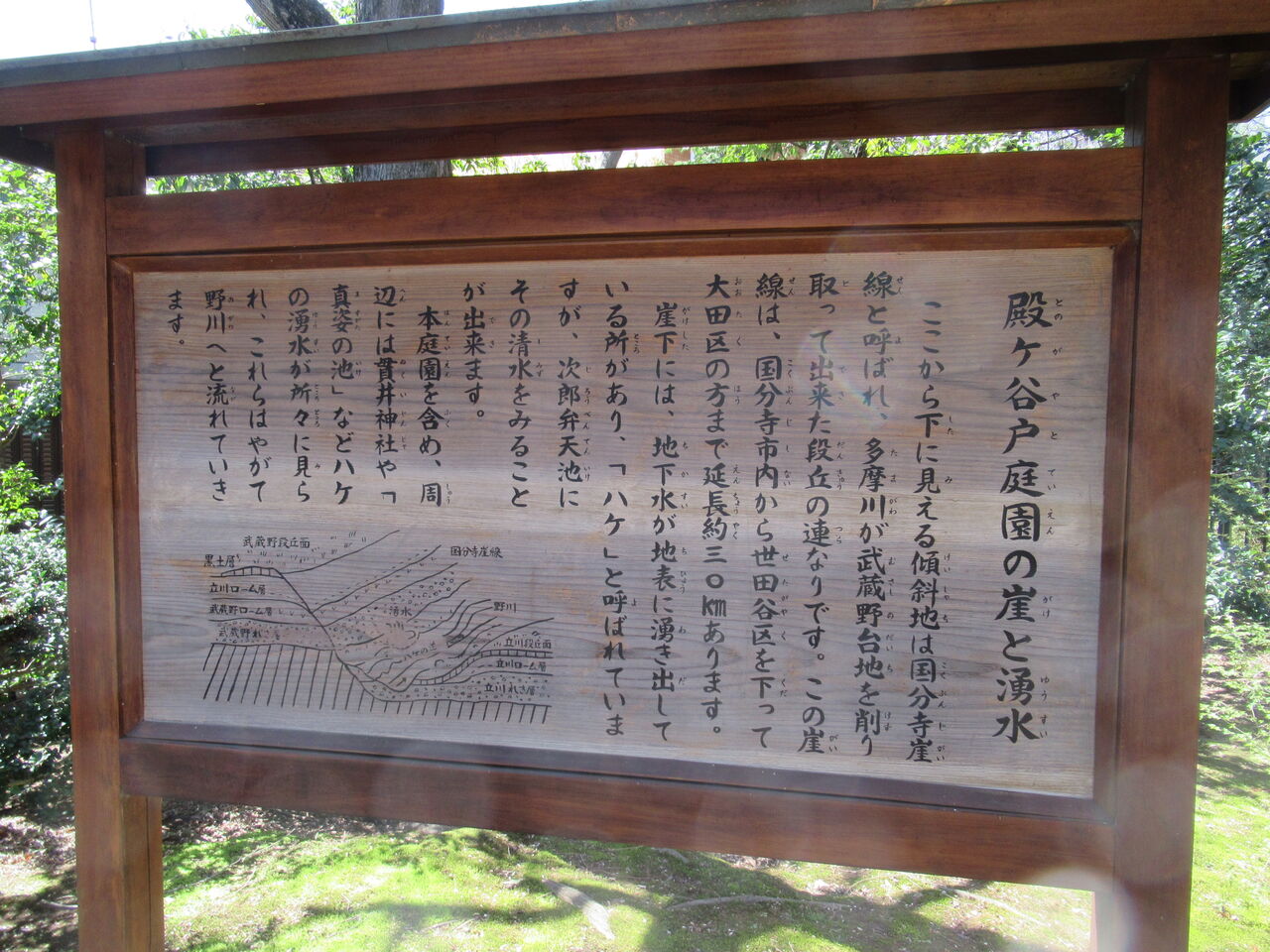 殿ヶ谷戸庭園と国分寺 猪八戒の自由日記