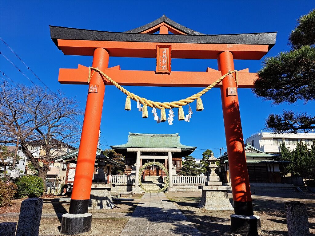 鳥居の注連縄（しめなわ） : 努力の上に花は咲くⅡ