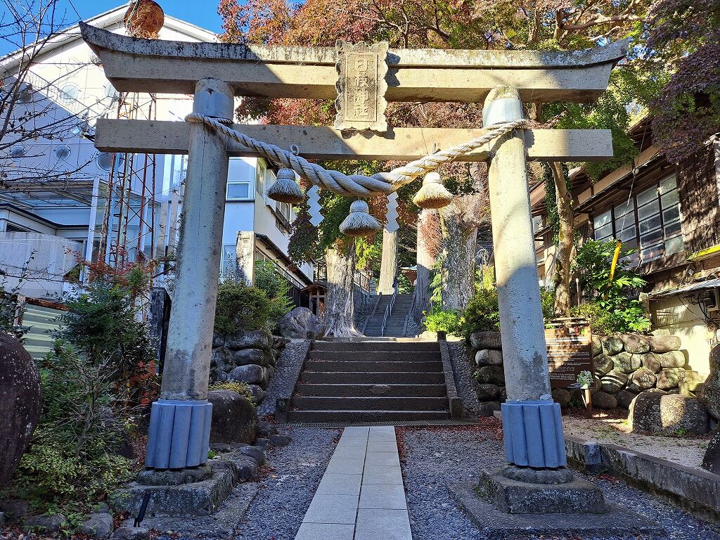 鳥居の注連縄（しめなわ） : 努力の上に花は咲くⅡ