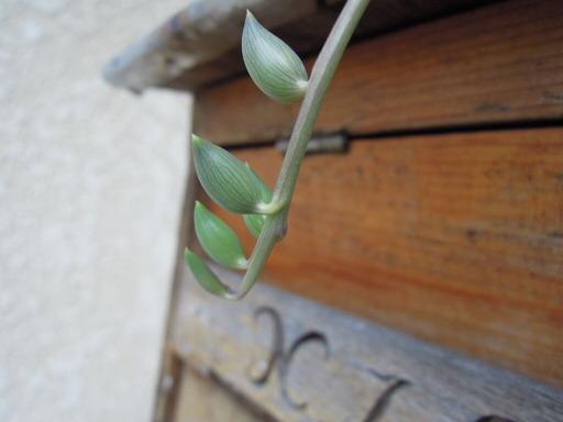20200307_064252