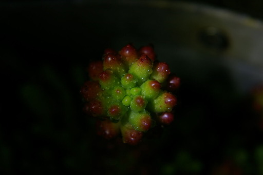 20200520_045858