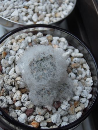 201506177753