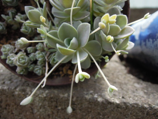 20200412_104605