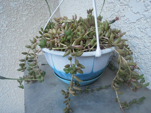 20200307_064238