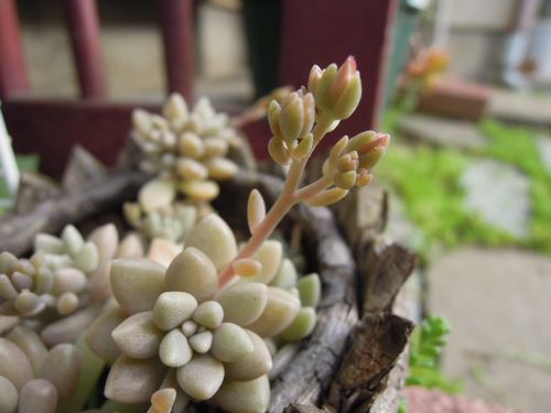 2019050417903